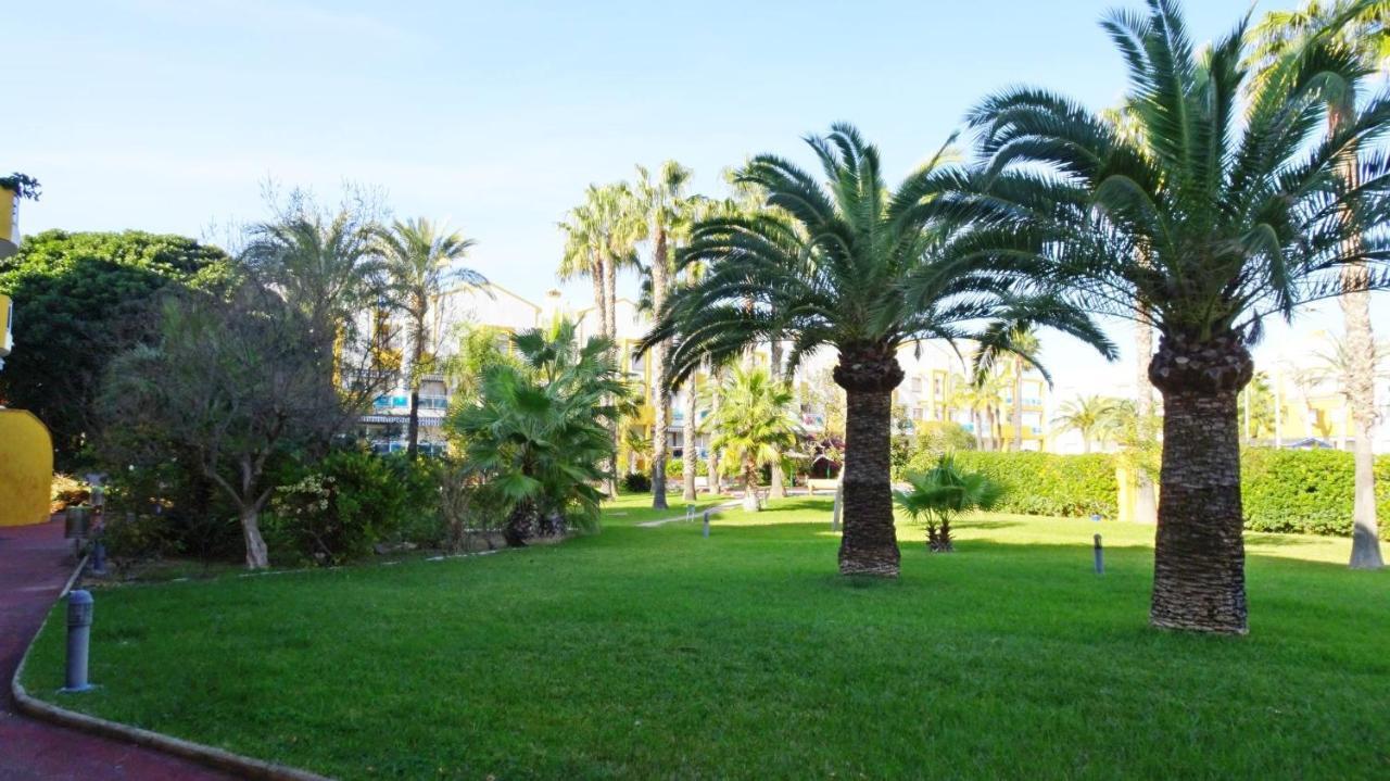 Palmeras En La Playa - Beach House In Олива Екстериор снимка